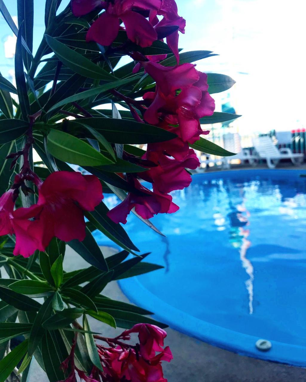 Sea Scape Inn Wildwood Crest Εξωτερικό φωτογραφία